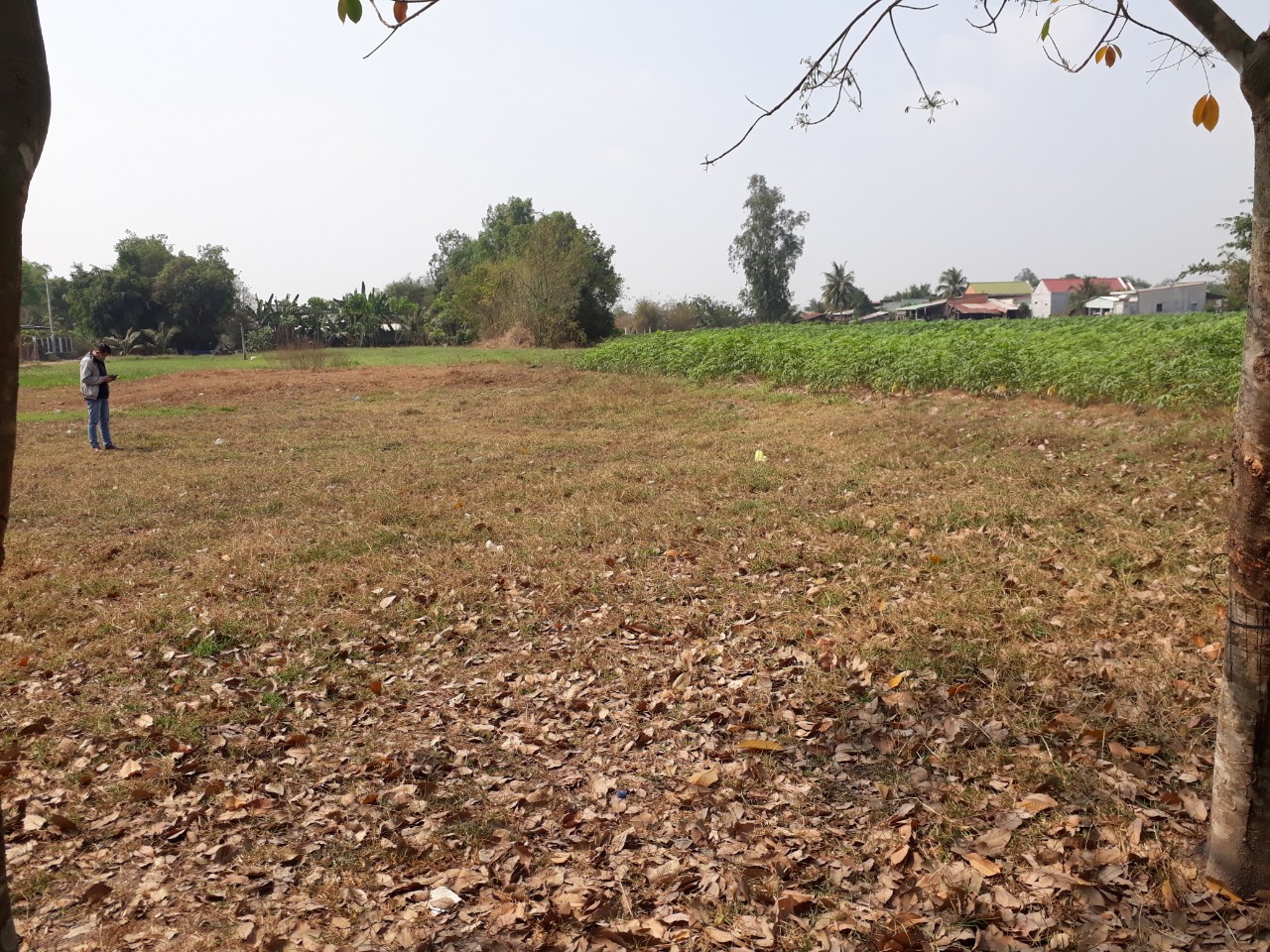 BÁN ĐẤT ẤP BÀU CÔNG , XÃ TÂN MỸ, H. ĐỨC HÒA, LONG AN - KHU VINHOME 900 HA (Đang triển khai) 11371646