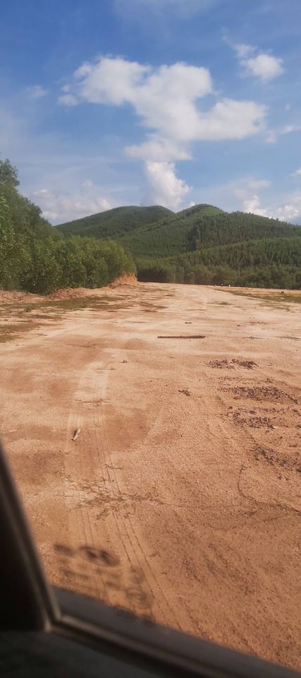 CHÍNH CHỦ CẦN BÁN LÔ ĐẤT RỪNG GIÁ RẺ TẠI PHƯỚC MỸ, CÁT HIỆP, BÌNH ĐỊNH 11380726