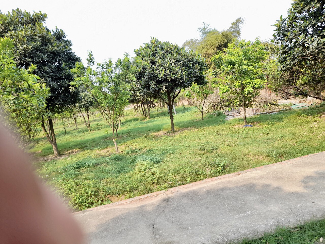 BÁN 6.000 MÉT ĐẤT TẠI THÁI LAI MINH TRÍ SÓC SƠN HÀ NỘI 11390895