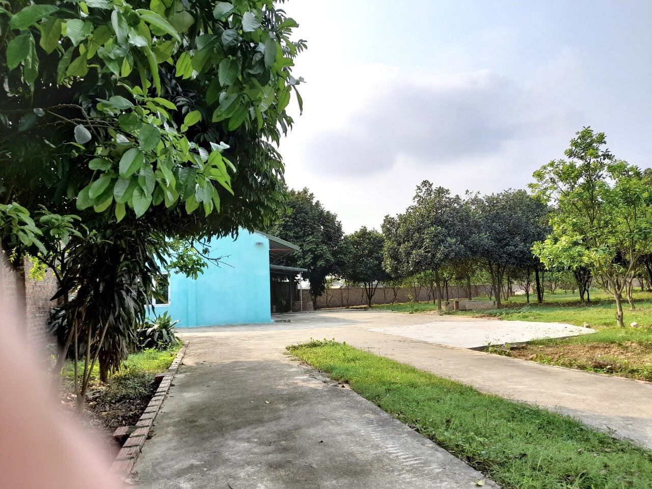 BÁN 6.000 MÉT ĐẤT TẠI THÁI LAI MINH TRÍ SÓC SƠN HÀ NỘI 11390895