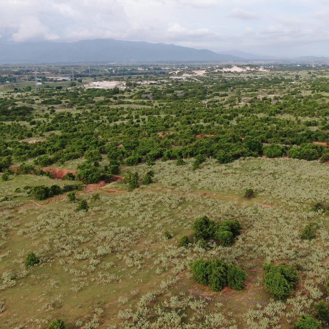 Chính Chủ Cần Bán Lô Đất Đẹp Tại Huyện Bắc Bình - Tỉnh Bình Thuận 11393962