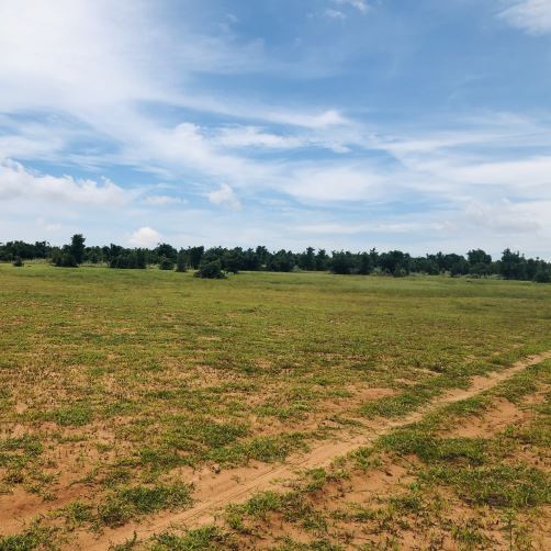 Chính Chủ Cần Bán Lô Đất Đẹp Tại Huyện Bắc Bình - Tỉnh Bình Thuận 11393962