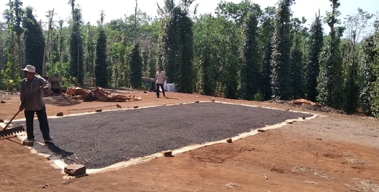 CHÍNH CHỦ CẦN BÁN LÔ ĐẤT ẤP 3, XÃ BÀU LÂM, HUYỆN XUYÊN MỘC, BÀ RỊA VŨNG TÀU . 11394877