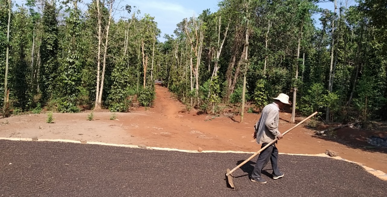 CHÍNH CHỦ CẦN BÁN LÔ ĐẤT ẤP 3, XÃ BÀU LÂM, HUYỆN XUYÊN MỘC, BÀ RỊA VŨNG TÀU . 11394877