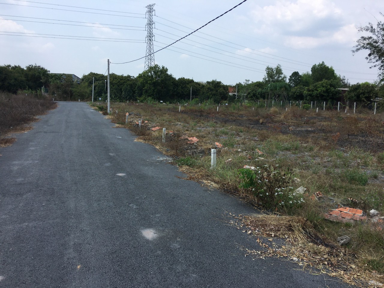 CHÍNH CHỦ CẦN BÁN LÔ ĐẤT ĐẸP ẤP PHƯỚC ĐỨC B, XÃ PHƯỚC ĐÔNG,HUYỆN GÒ DẦU, TÂY NINH 11401761