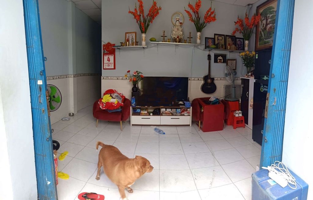 Bán nhà CHÍNH CHỦ HXH 194 Bùi Đình Túy p12 – 5x14m 11405253