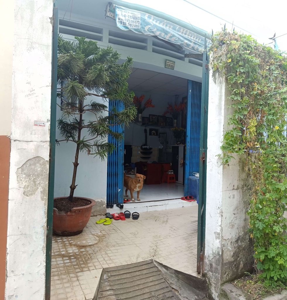 Bán nhà CHÍNH CHỦ HXH 194 Bùi Đình Túy p12 – 5x14m 11405253