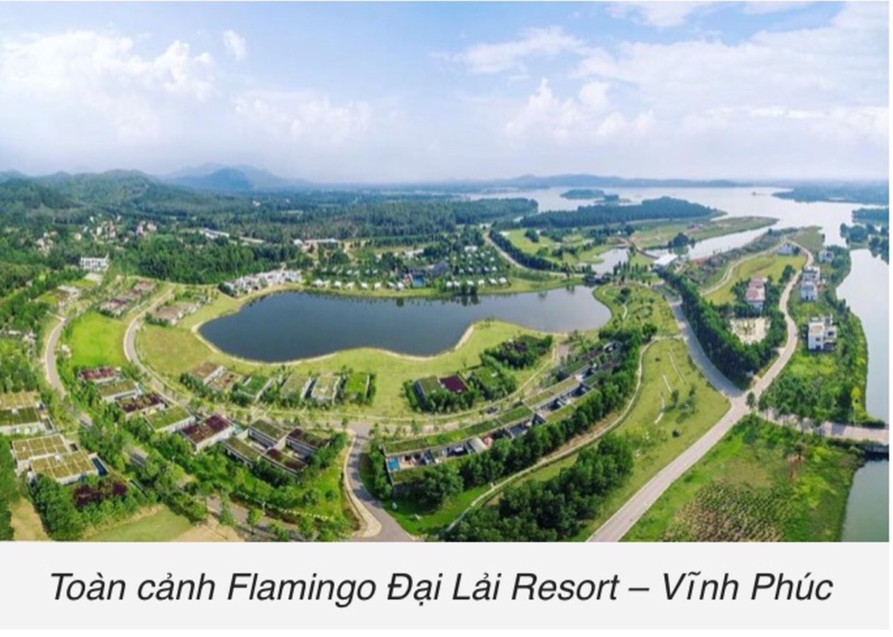 CHÍNH CHỦ CẦN BÁN BIỆT THỰ FOREST R336 FLAMINGO ĐẠI LẢI RESORT . LH : 0903425129 11405460