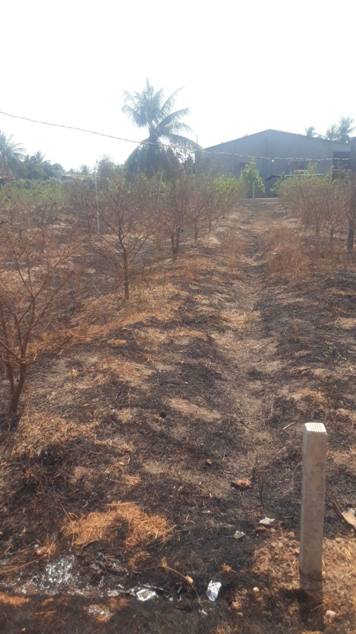 Chính chủ cần bán gấp đất vị trí đẹp ấp tân đông xã Tân hưng, huyện Tân Châu , Tây Ninh 11415715