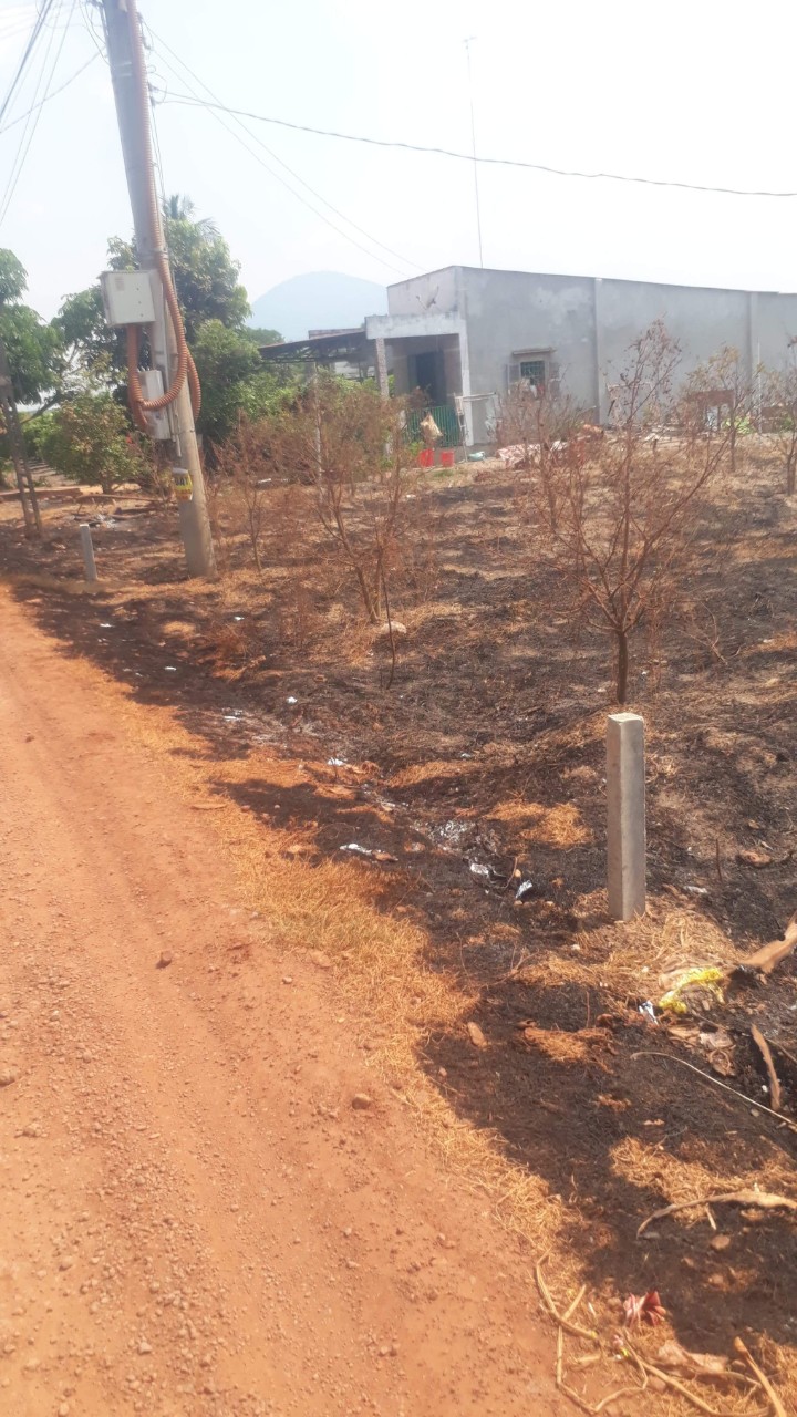 Chính chủ cần bán gấp đất vị trí đẹp ấp tân đông xã Tân hưng, huyện Tân Châu , Tây Ninh 11415715