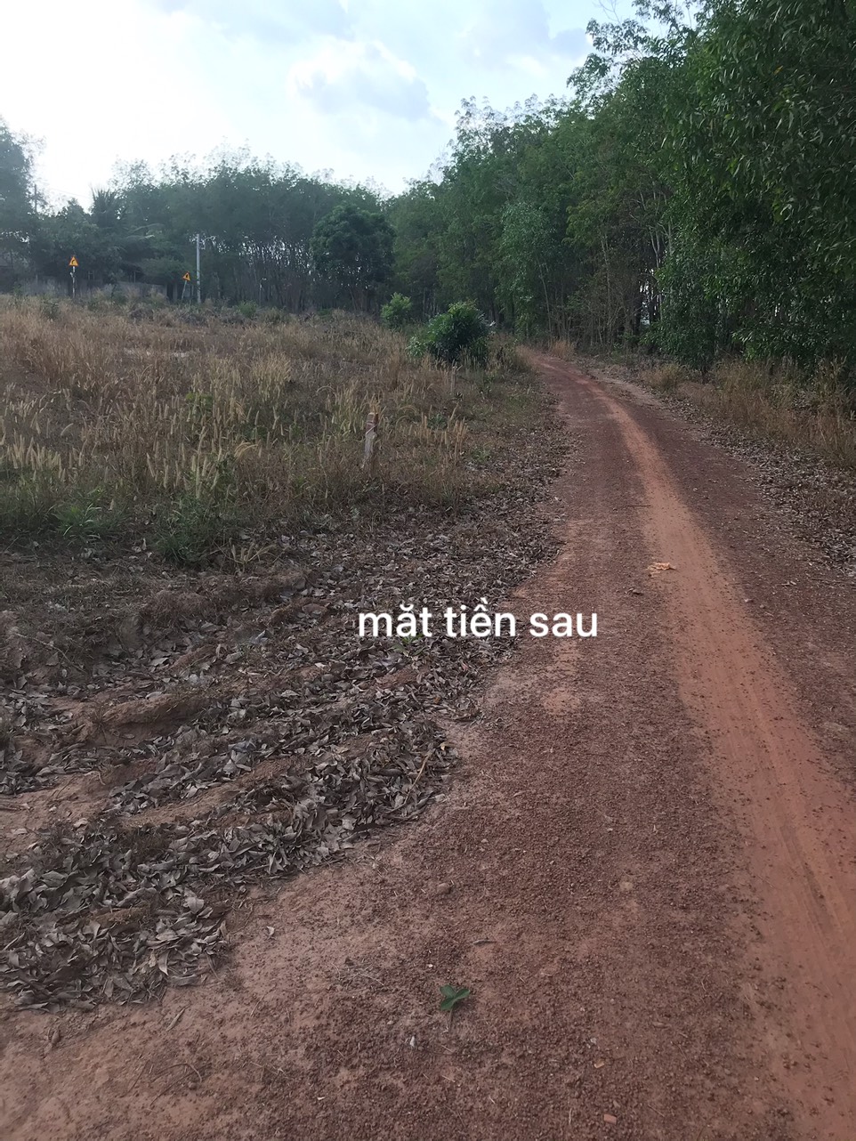 CHÍNH CHỦ BÁN GẤP LÔ 2 LÔ ĐẤT LIỀN KỀ TẠI LONG NGUYÊN, BÀU BÀNG , BÌNH DƯƠNG. LH 036 931. 2212. 11416454