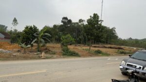 Chính chủ cần bán đất tại khu 12, xã Tu Vũ, huyện Thanh Thủy, tỉnh Phú Thọ 11416569