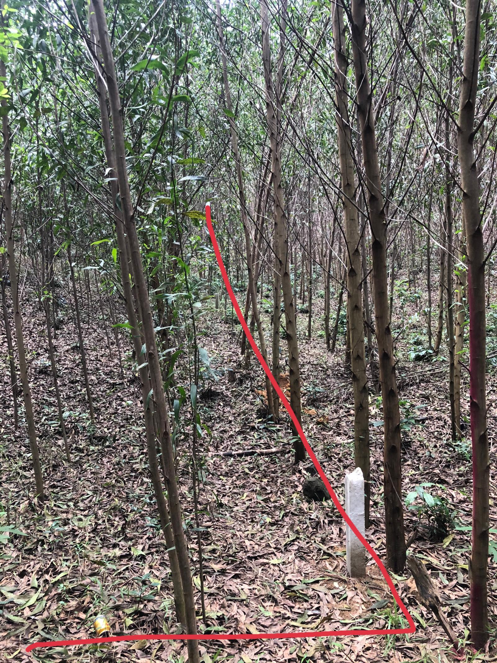 Chính chủ bán lô đất tại xã Khánh Đông, huyện Khánh Vĩnh. Tỉnh Khánh Hòa 11418893