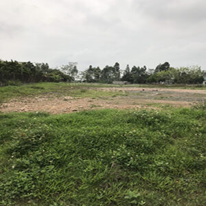 CHÍNH CHỦ CẦN BÁN GẤP LÔ ĐẤT QUẢNG BỊ - CHƯƠNG MỸ - HÀ NỘI 11419232