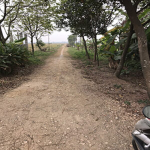 CHÍNH CHỦ CẦN BÁN GẤP LÔ ĐẤT QUẢNG BỊ - CHƯƠNG MỸ - HÀ NỘI 11419232