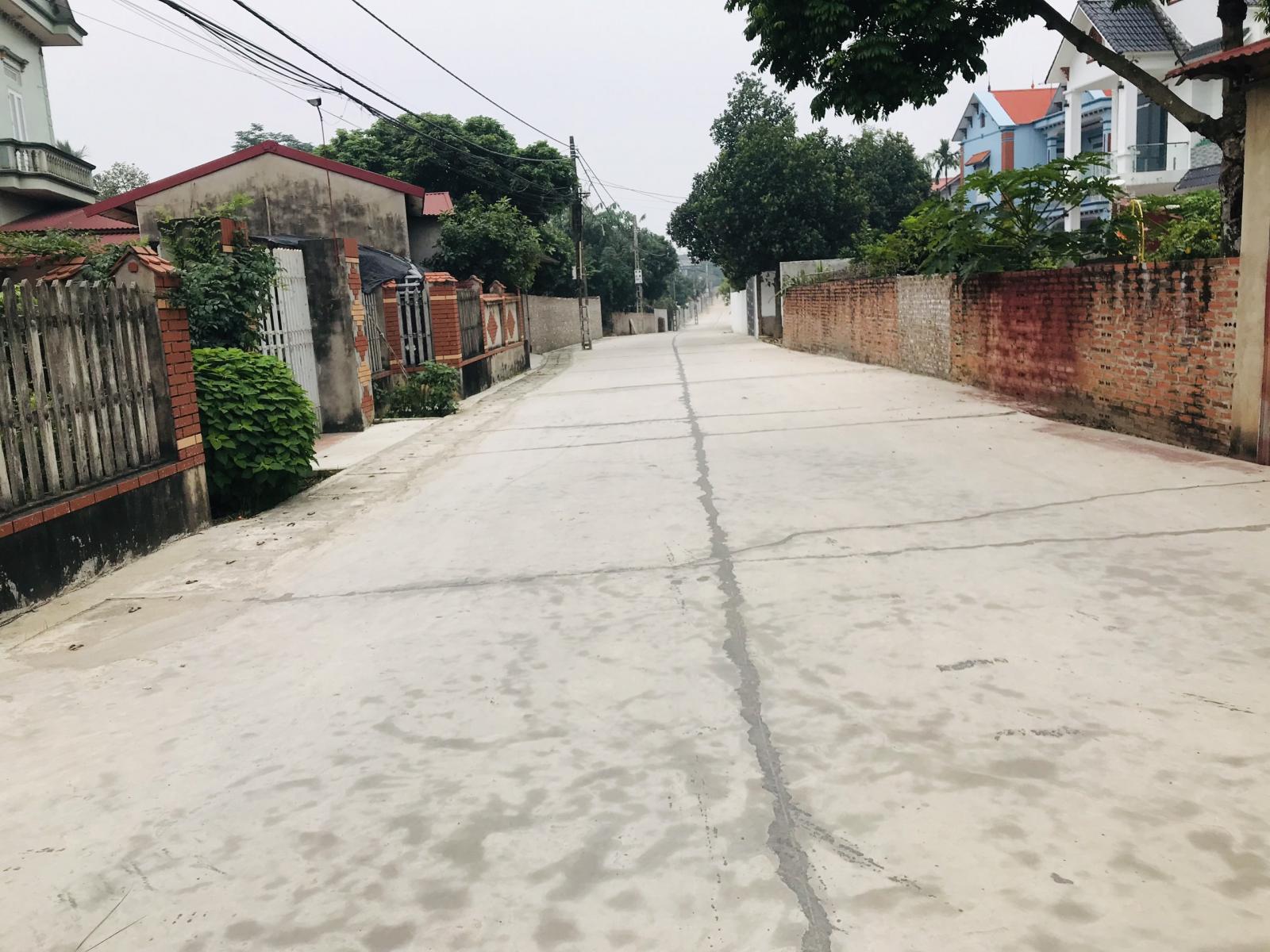 chính chủ phân lô Gờ Gạo,Minh Trí,Sóc Sơn vị trí đẹp, giá công khai 11422406