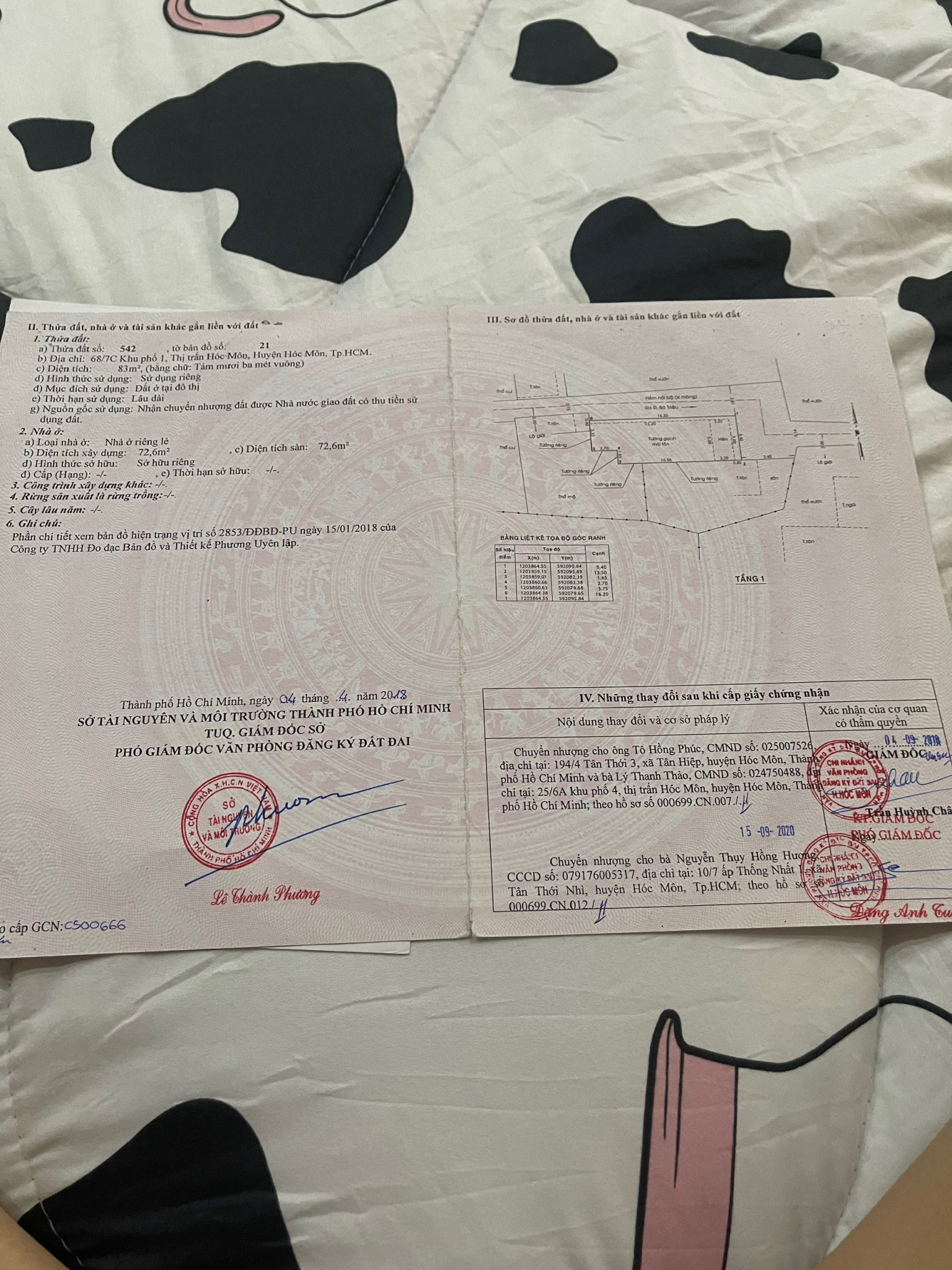 CẦN BÁN NHÀ 1/ NGAY ĐƯỜNG BÀ TRIỆU, TRUNG TÂM HÓC MÔN. LH: 0936090199 11427279