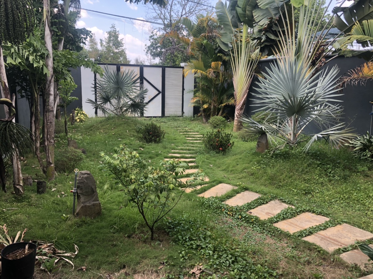 Chính Chủ Bán: Mặt Tiền đường Nguyễn Thái Học, Phường 2, Tp.Bảo Lộc, Lâm Đồng 11450039