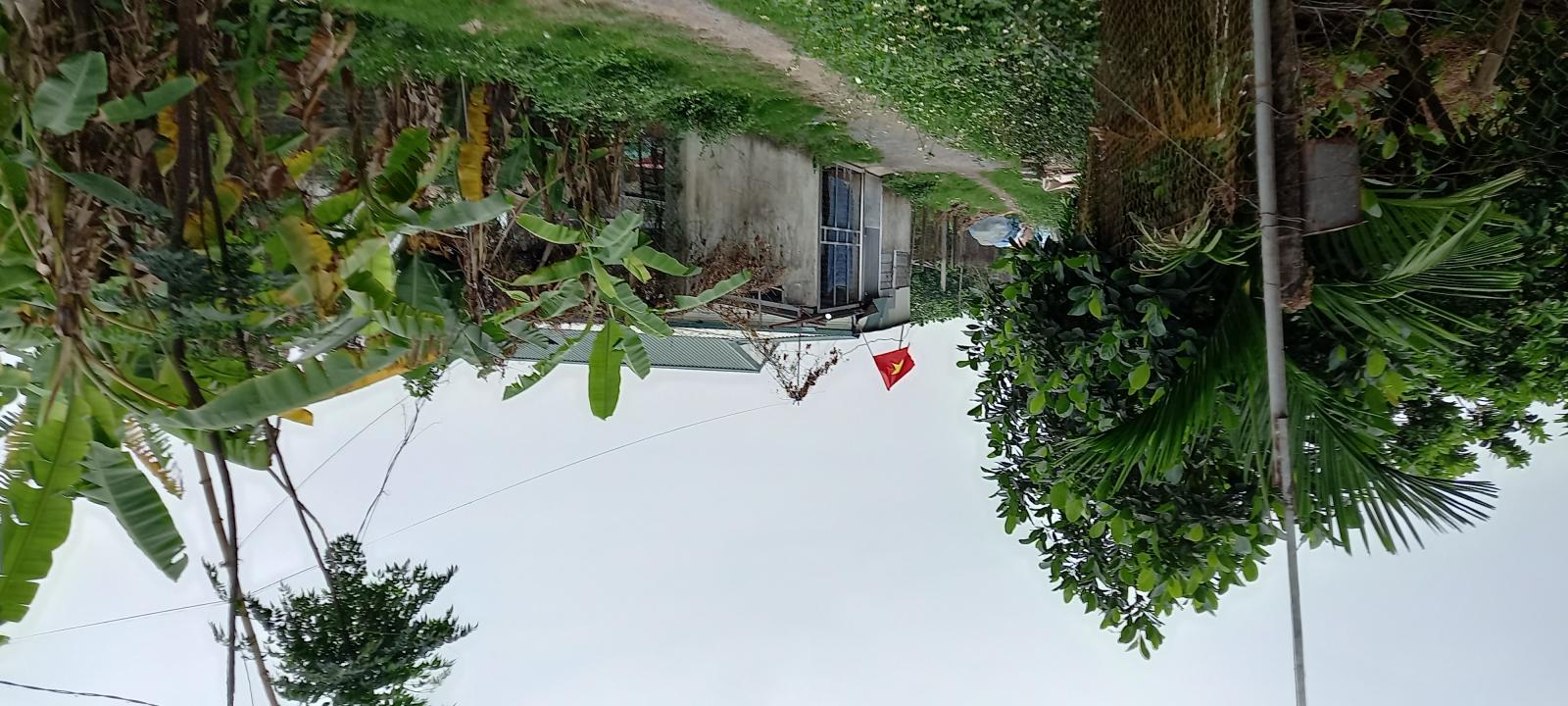 Bán gấp lô đất S= 850 m2, xã Sài Sơn, huyện Quốc Oai, TP Hà Nội 11463187
