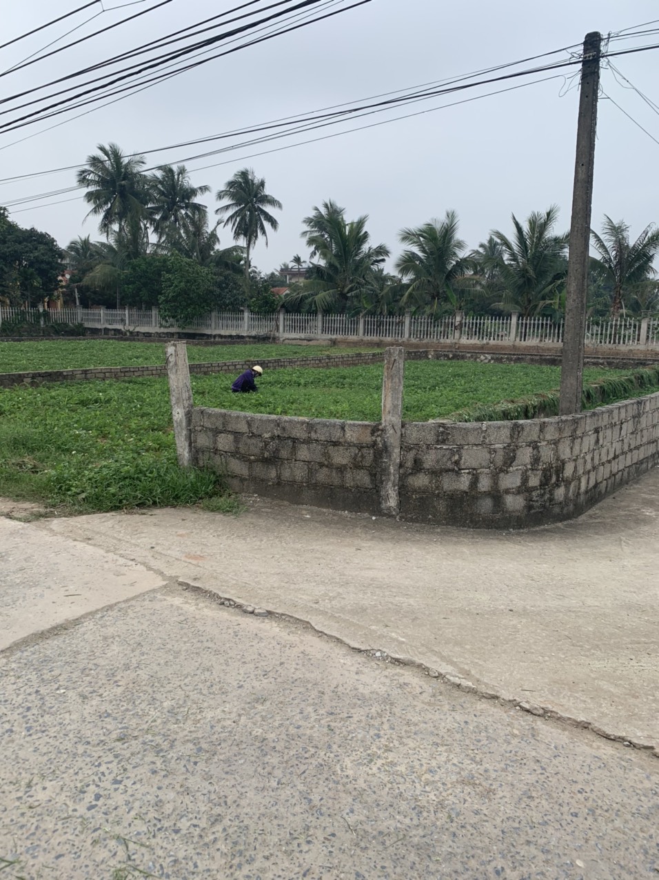 GẤP! CẦN RA NHANH 2 LÔ LIỀN KỀ DT 5X20/LÔ - ĐƯỜNG X3 NGA AN, NGA SƠN, THANH HÓA. LH: 0973980828 11464040