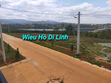 Cần Bán Đất Nền Đất Hồ Tây, Di Linh, Lâm Đồng 11464497