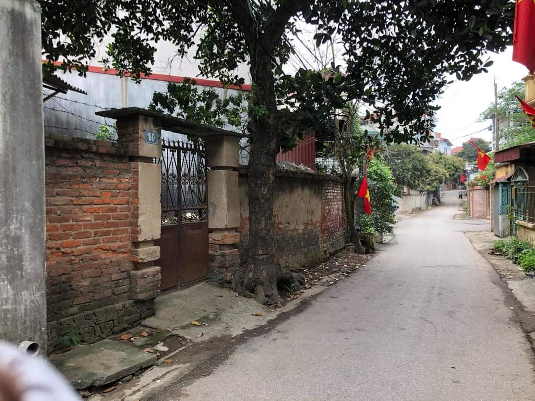 CẦN BÁN ĐẤT 2 MẶT TIỀN ĐƯỜNG TRẦN PHÚ, PH. LIÊN BẢO, VĨNH YÊN, VĨNH PHÚC 11465104