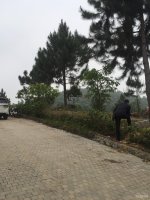 CHÍNH CHỦ BÁN LÔ ĐẤT NGHỈ DƯỠNG ĐỊA THẾ SƠN THỦY HỮU TÌNH VIP TẠI LUCKY HILL, BÃI DÀI, THẠCH THẤT, 11470050