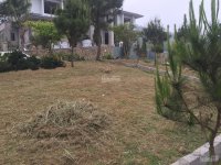 CHÍNH CHỦ BÁN LÔ ĐẤT NGHỈ DƯỠNG ĐỊA THẾ SƠN THỦY HỮU TÌNH VIP TẠI LUCKY HILL, BÃI DÀI, THẠCH THẤT, 11470050