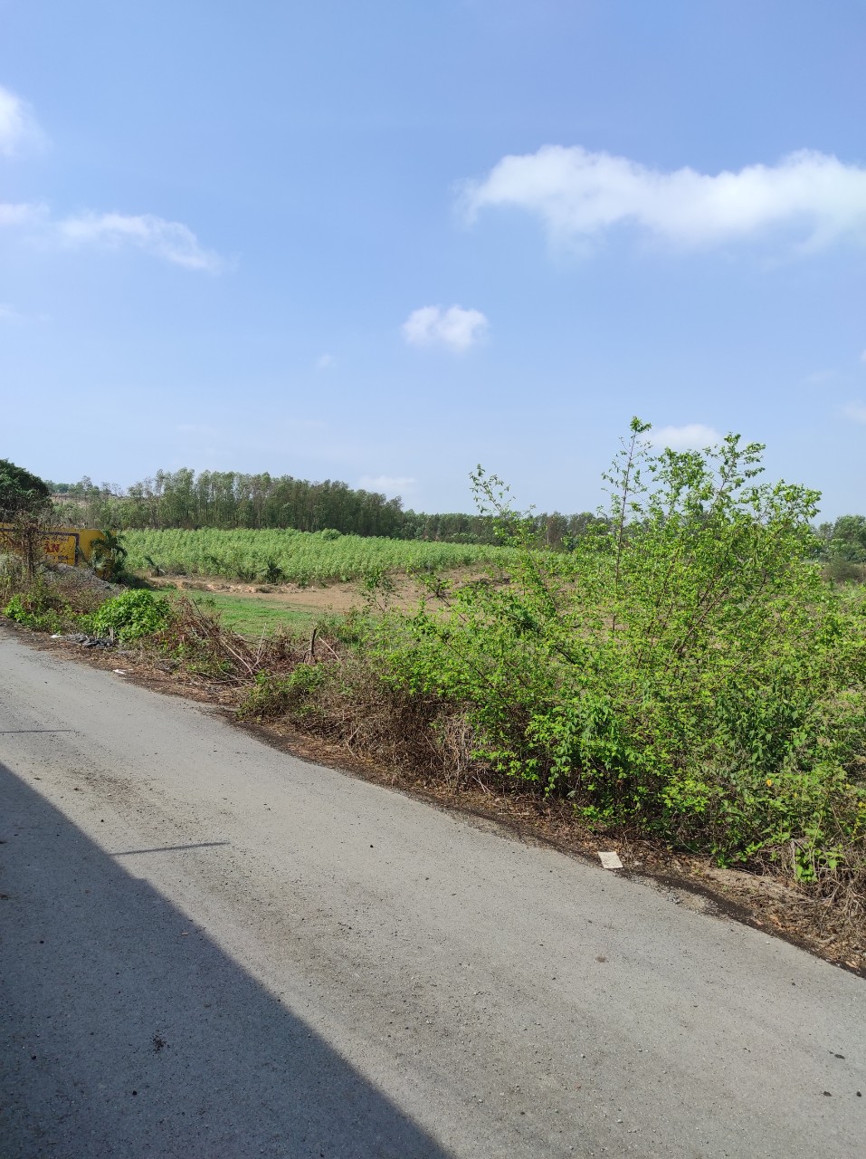 CẦN BÁN 1,3 MẪU ĐẤT MẶT TIỀN ĐƯỜNG NHỰA XÃ THIỆN TÂN - HUYỆN VĨNH CỬU - TỈNH ĐỒNG NAI 11470506