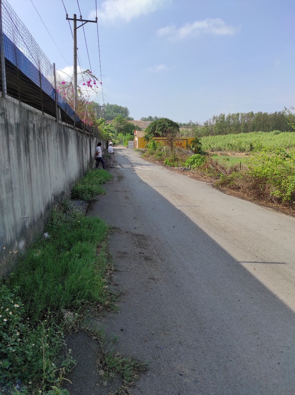 CẦN BÁN 1,3 MẪU ĐẤT MẶT TIỀN ĐƯỜNG NHỰA XÃ THIỆN TÂN - HUYỆN VĨNH CỬU - TỈNH ĐỒNG NAI 11470506