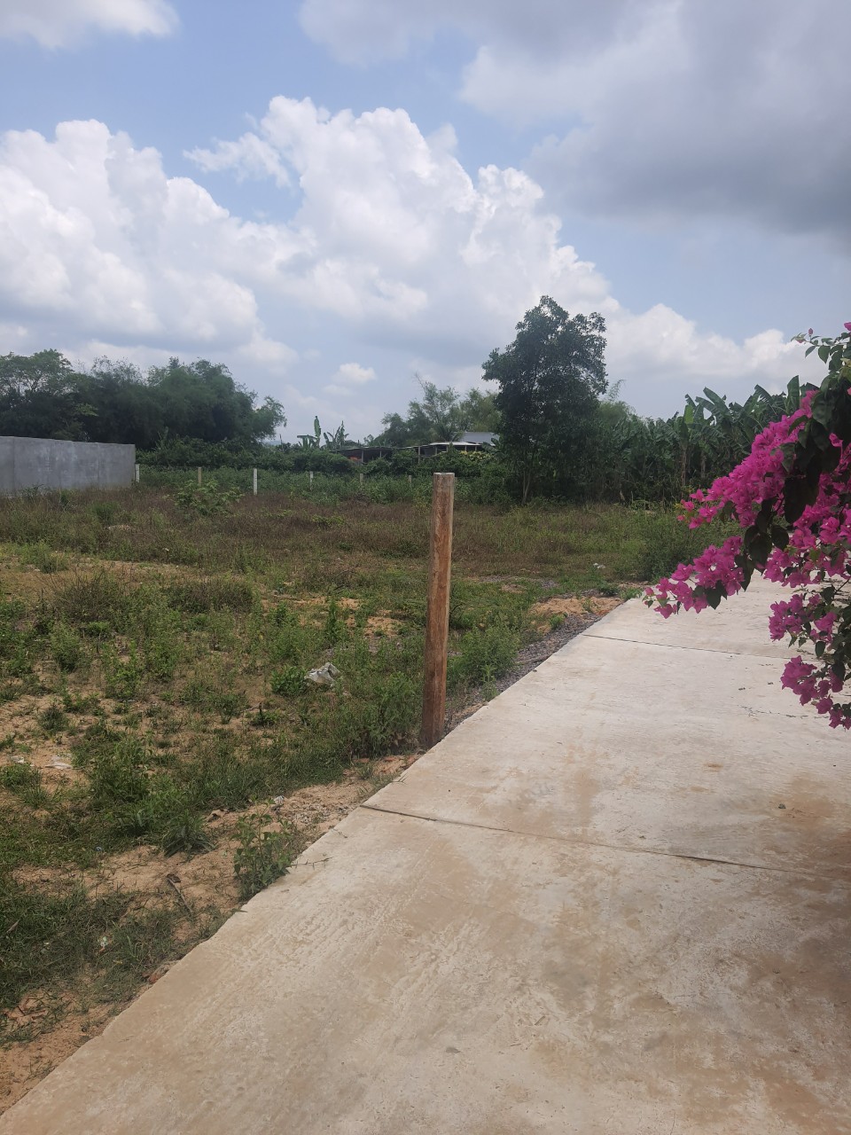 BÁN 2 LÔ ĐẤT LIỀN KỀ TẠI CẢNH AN 2, PHƯỚCTHÀNH, TUY PHƯỚC. BÌNH BỊNH . LH 0868457579 11477484