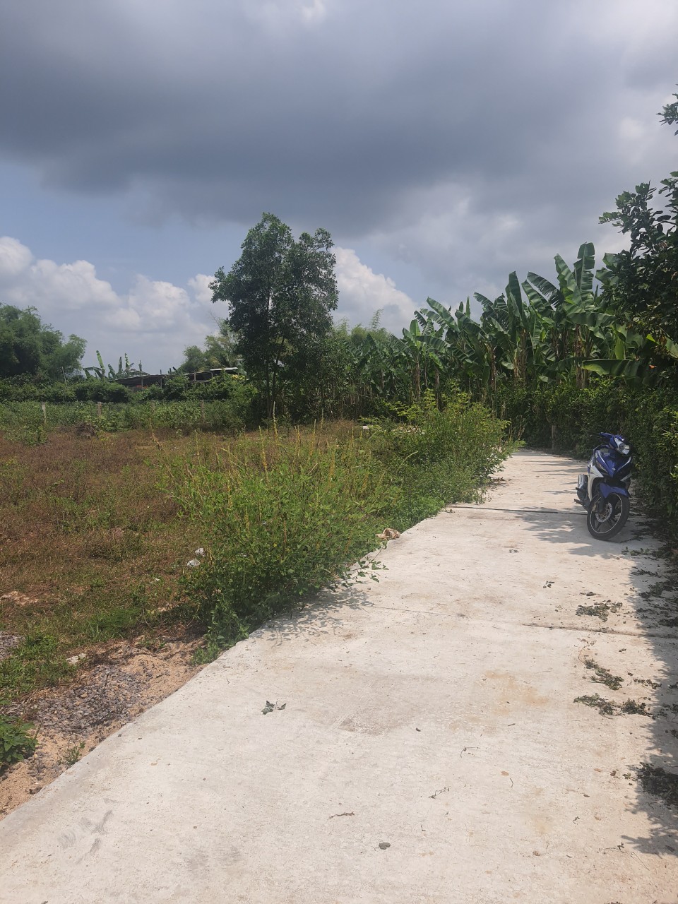 BÁN 2 LÔ ĐẤT LIỀN KỀ TẠI CẢNH AN 2, PHƯỚCTHÀNH, TUY PHƯỚC. BÌNH BỊNH . LH 0868457579 11477484