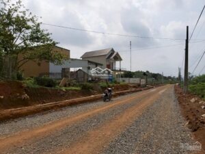 Cần bán 5,5 Sào ( 5,500m² ) đất mặt tiền chính đường Ỷ Lan , xã Đại Lào , thành phố Bảo Lộc , Lâm 11479881
