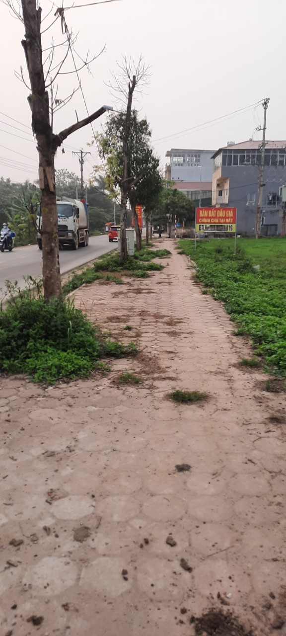 CHÍNH CHỦ MỞ BÁN LÔ ĐẤT ĐẤU GIÁ TẠI THỊ TRẤN CHI ĐÔNG, HUYỆN MÊ LINH, HÀ NỘI 11480981