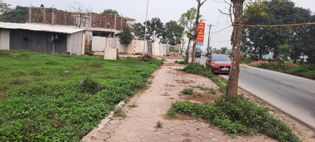 CHÍNH CHỦ MỞ BÁN LÔ ĐẤT ĐẤU GIÁ TẠI THỊ TRẤN CHI ĐÔNG, HUYỆN MÊ LINH, HÀ NỘI 11480981