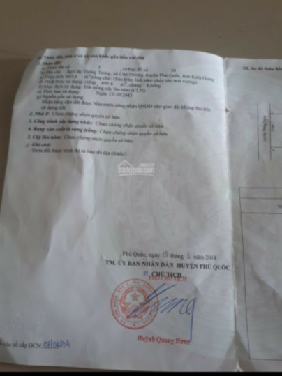 Chính Chủ Bán Đất  đẹp giá rẻ 30/% đường Cây Thông Trong, Xã Dương Tơ, Phú Quốc, Kiên Giang 11505781