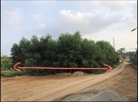 BÁN ĐẤT KHU 10, XÃ PHÙ NINH, HUYỆN PHÙ NINH, PHÚ THỌ. 11525888