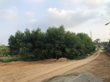 BÁN ĐẤT KHU 10, XÃ PHÙ NINH, HUYỆN PHÙ NINH, PHÚ THỌ. 11525888