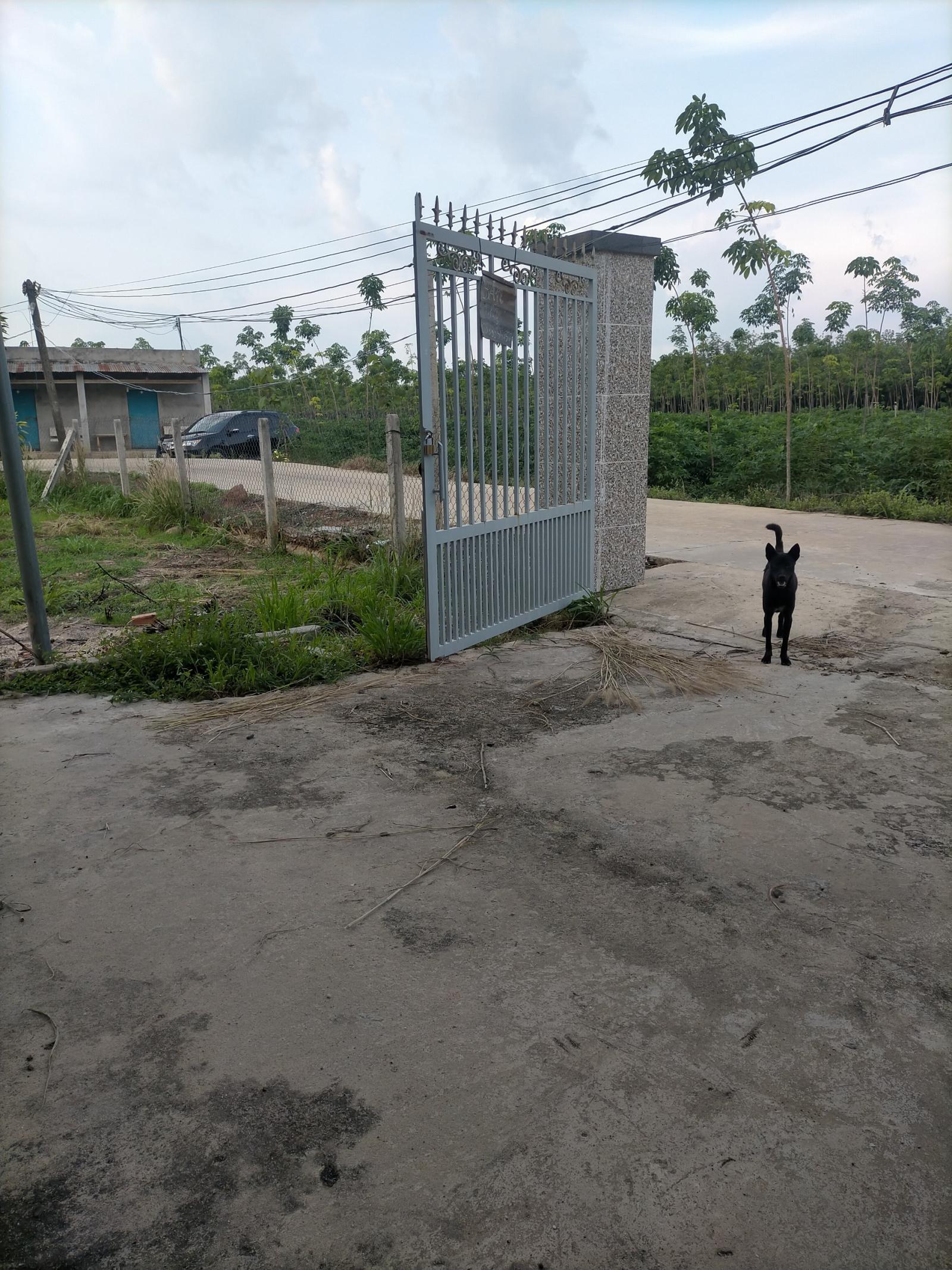 CHÍNH CHỦ CẦN BÁN NHÀ VÀ ĐẤT TẠI ÁP SUỐI MÂY, XÃ THẠNH BẮC, HUYỆN TÂN BIÊN, TÂY NINH. 11526951