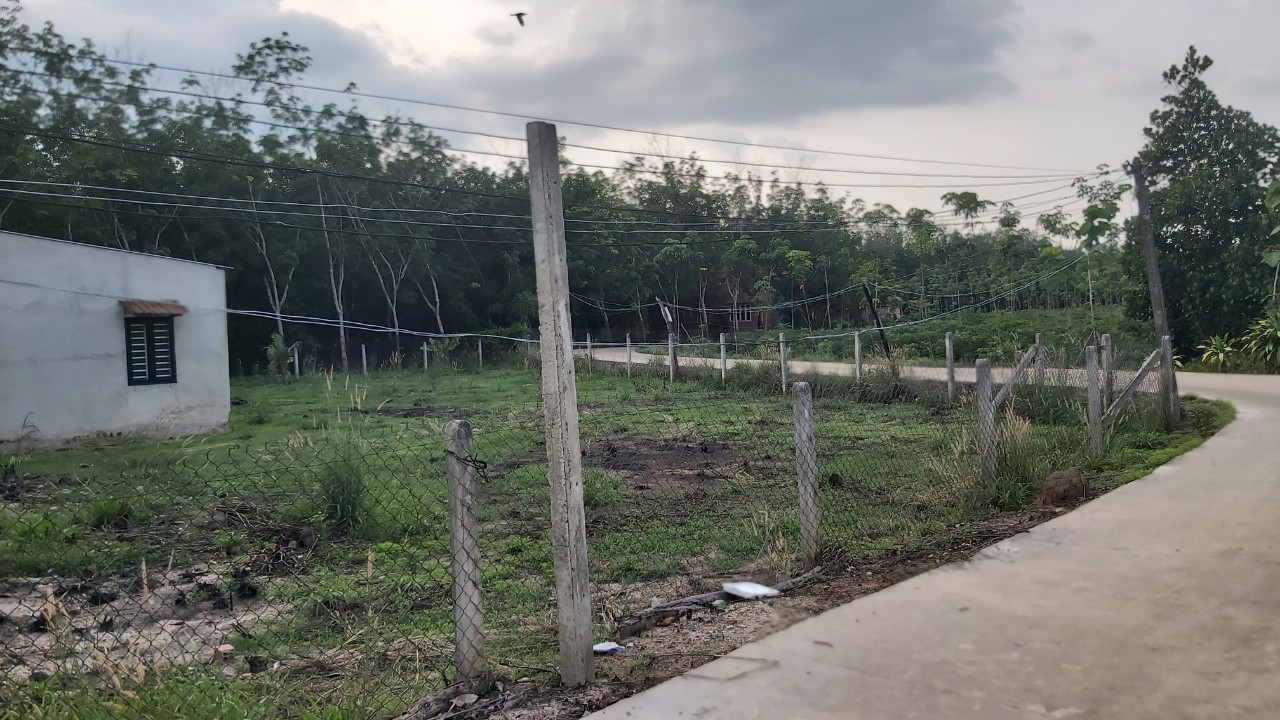 CHÍNH CHỦ CẦN BÁN NHÀ VÀ ĐẤT TẠI ÁP SUỐI MÂY, XÃ THẠNH BẮC, HUYỆN TÂN BIÊN, TÂY NINH. 11526951