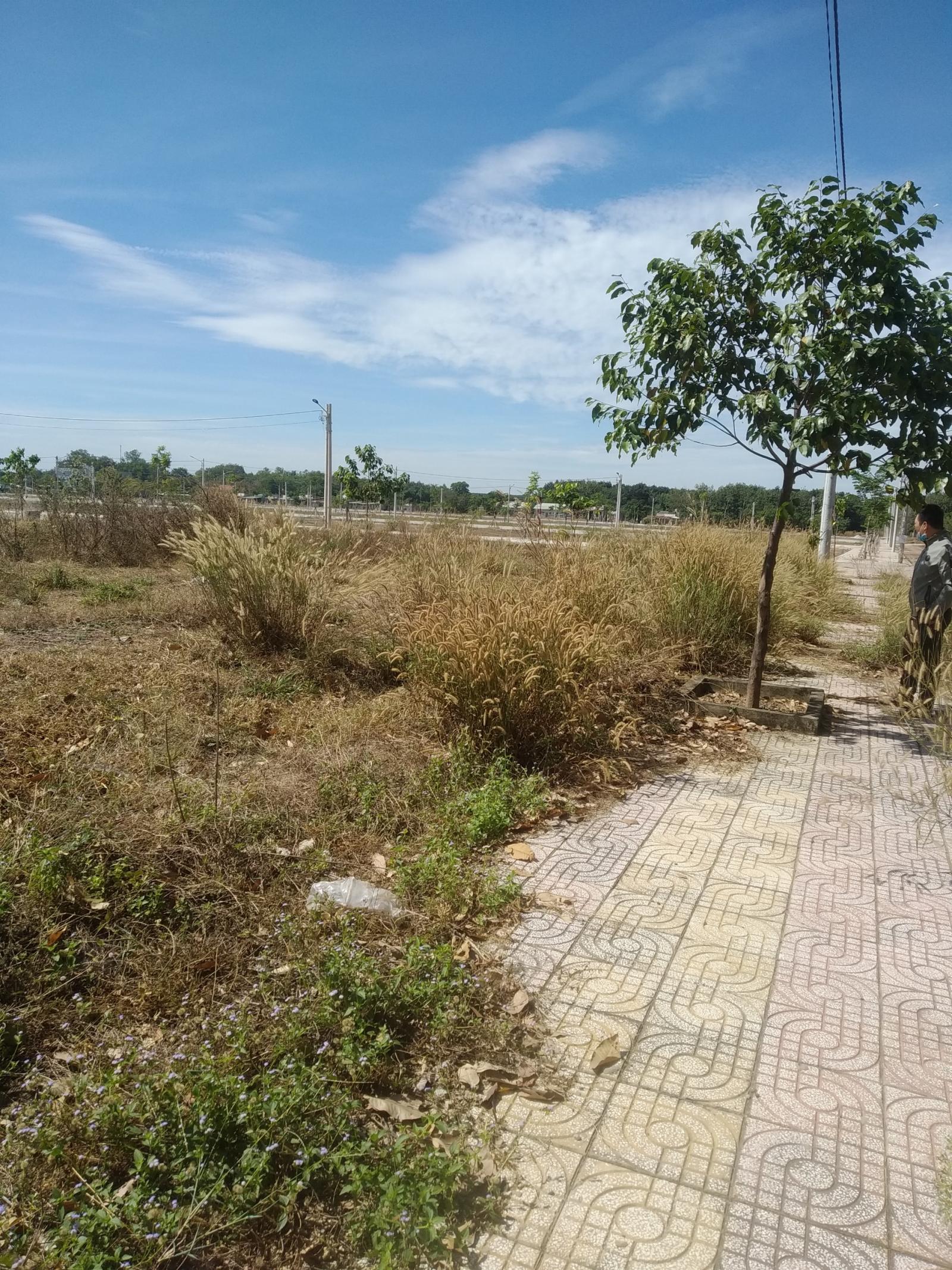 CHÍNH CHỦ CẦN BÁN LÔ ĐẤT ẤP 3 XÃ TIẾN HƯNG, TP ĐỒNG XOÀI, BÌNH PHƯỚC 11534928