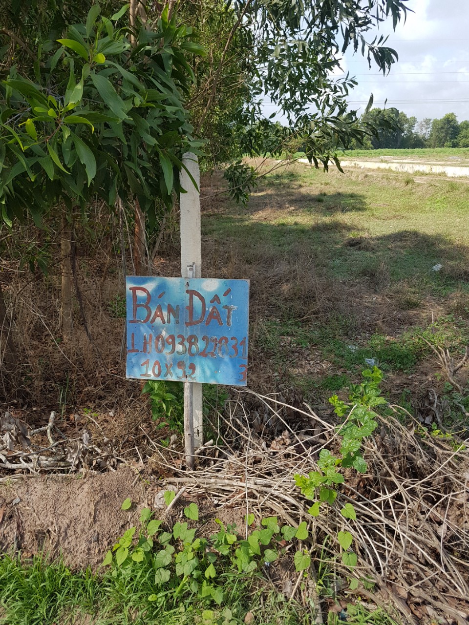 Chính chủ cần bán 920m2 đất Xã Phan - Huyện Dương Minh Châu - Tây Ninh 11538475