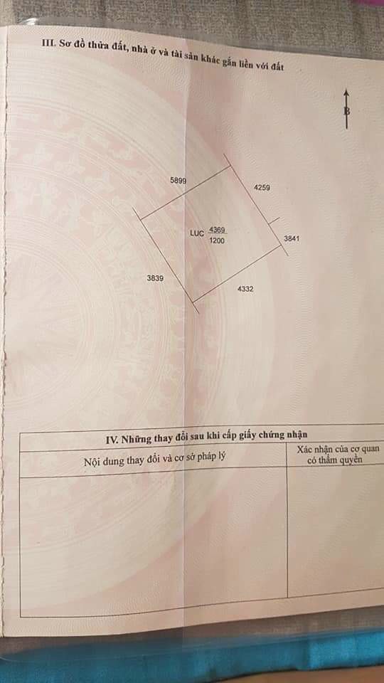 Nhanh Tay Để Sở Hữu Lô Đất Đẹp Tại Xã Phước Lâm - Huyện Cần Giuộc - Tỉnh Long An . 11543932