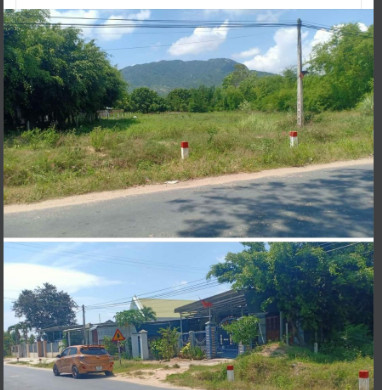 BÁN ĐẤT ĐƯỜNG NGUYỄN CÔNG TRỨ . PHƯỜNG CAM NGHĨA, TP CAM RANH, KHÁNH HOÀ 11547337