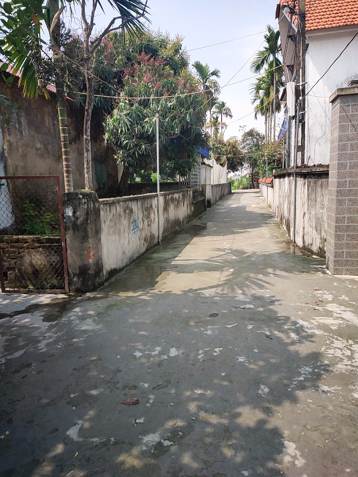 BÁN NHANH LÔ ĐẤT DT 112M2 - THÔN THÙ DU, XÃ MINH TÂN, KIẾN THỤY, HẢI PHÒNG. LH: 0931528893 11550013