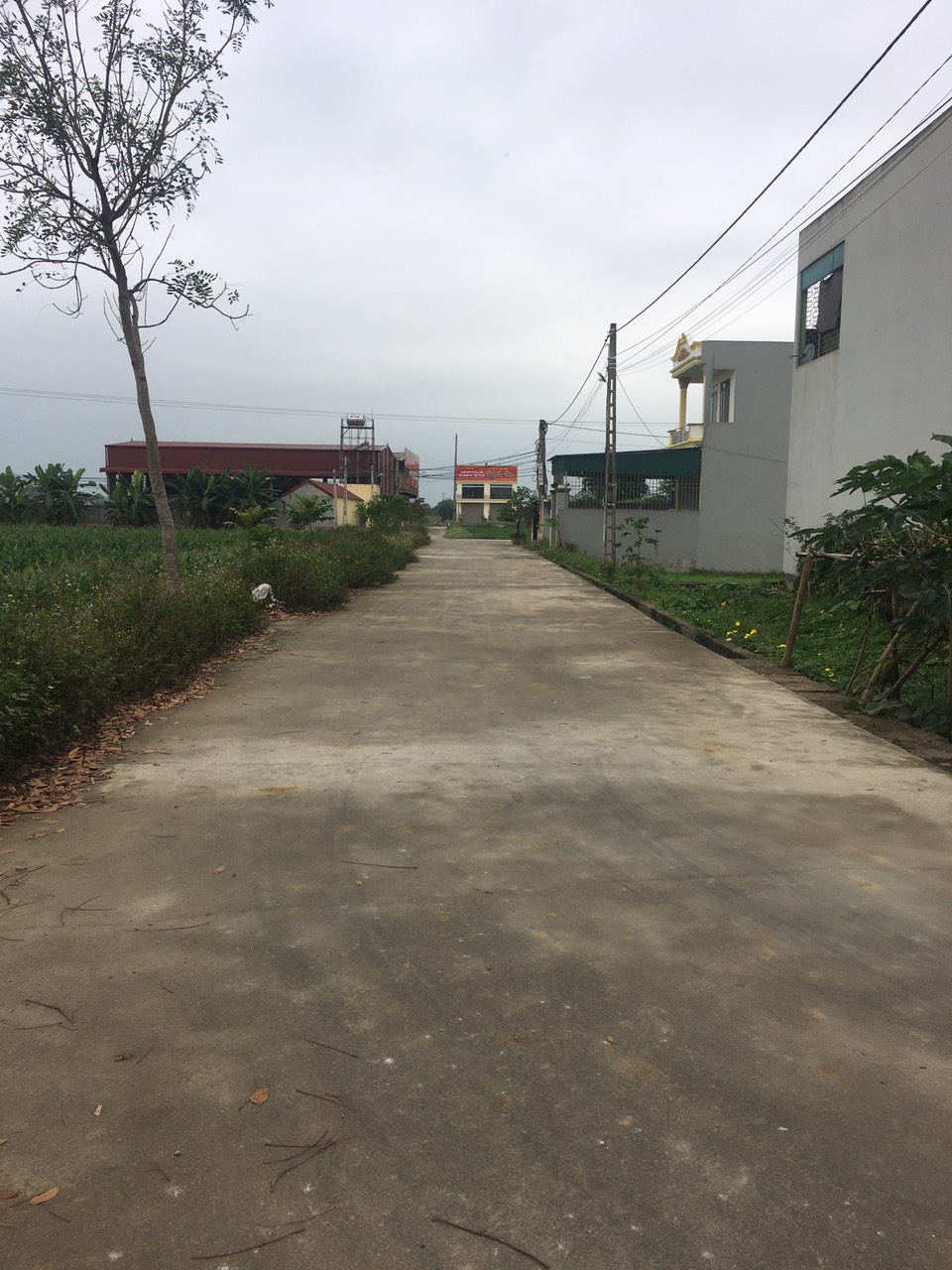 GIA ĐÌNH CẦN BÁN ĐÁM ĐẤT THỊ TRẤN QUÁN LÀO CHÍNH CHỦ KO QUA MÔI GIỚI 11552897