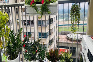 CHÍNH CHỦ CẦN BÁN CĂN HỘ CT2E VOV MỄ TRÌ - NAM TỪ LIÊM 11557698