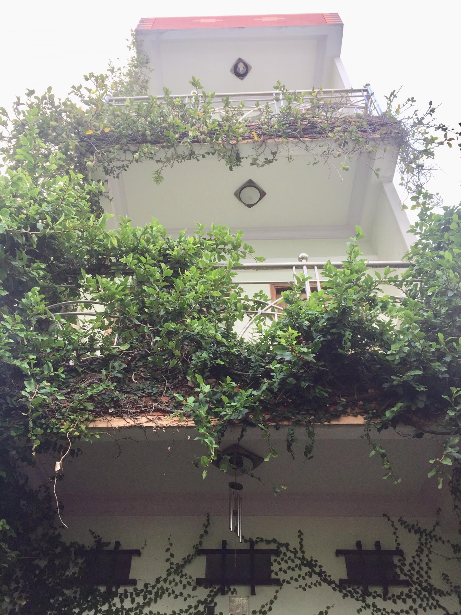 BÁN NHÀ TẠI  HẺM LƯƠNG VĂN CAN, PHƯỜNG 15, QUẬN 8, HỒ CHÍ MINH 11557832