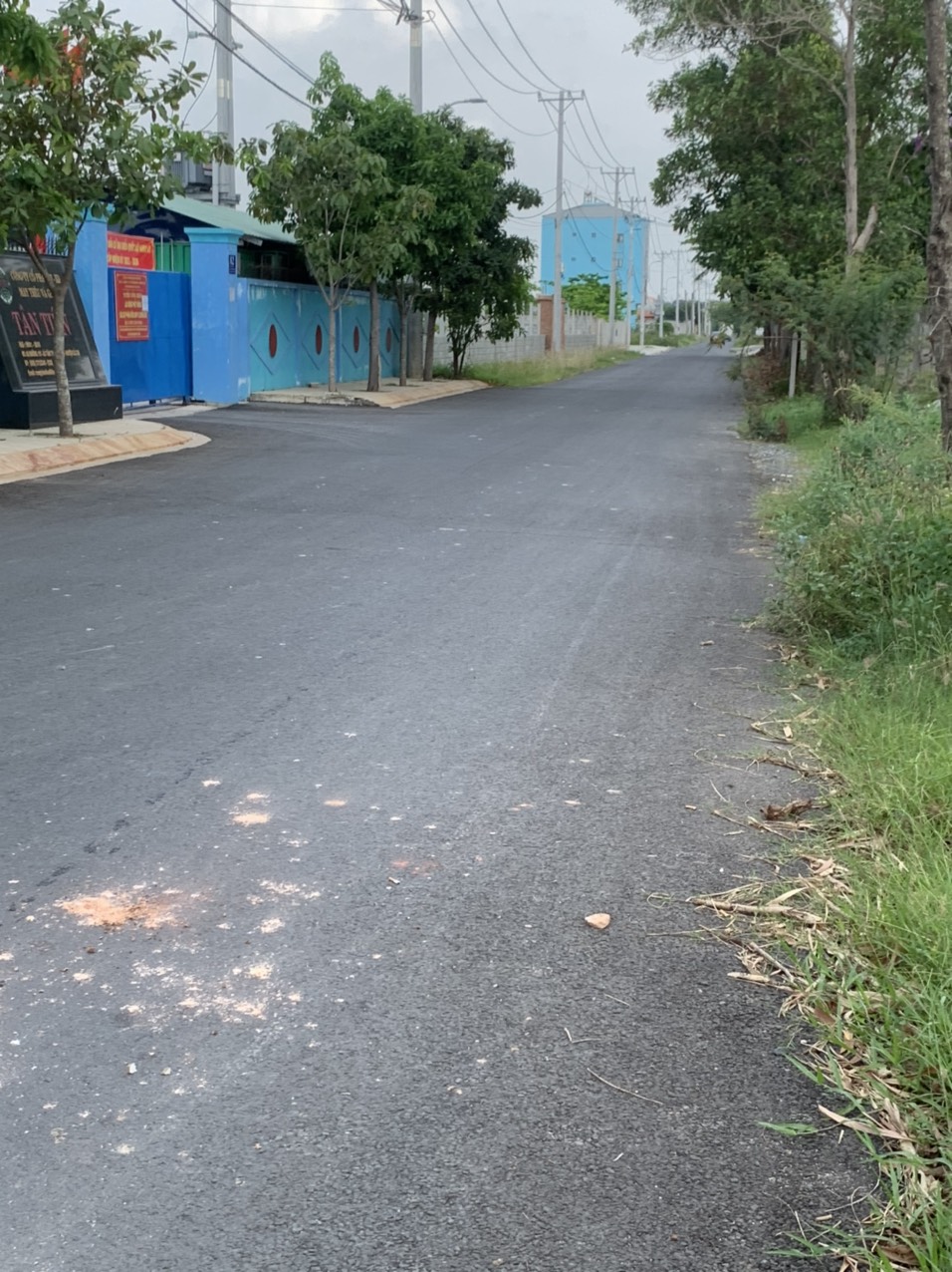 CHÍNH CHỦ BÁN LÔ ĐẤT DIỆN TÍCH 2993M2, CẠNH CTY MAY TÂN TIẾN – TÂN THẠNH ĐÔNG, CỦ CHI, HCM. 11561184