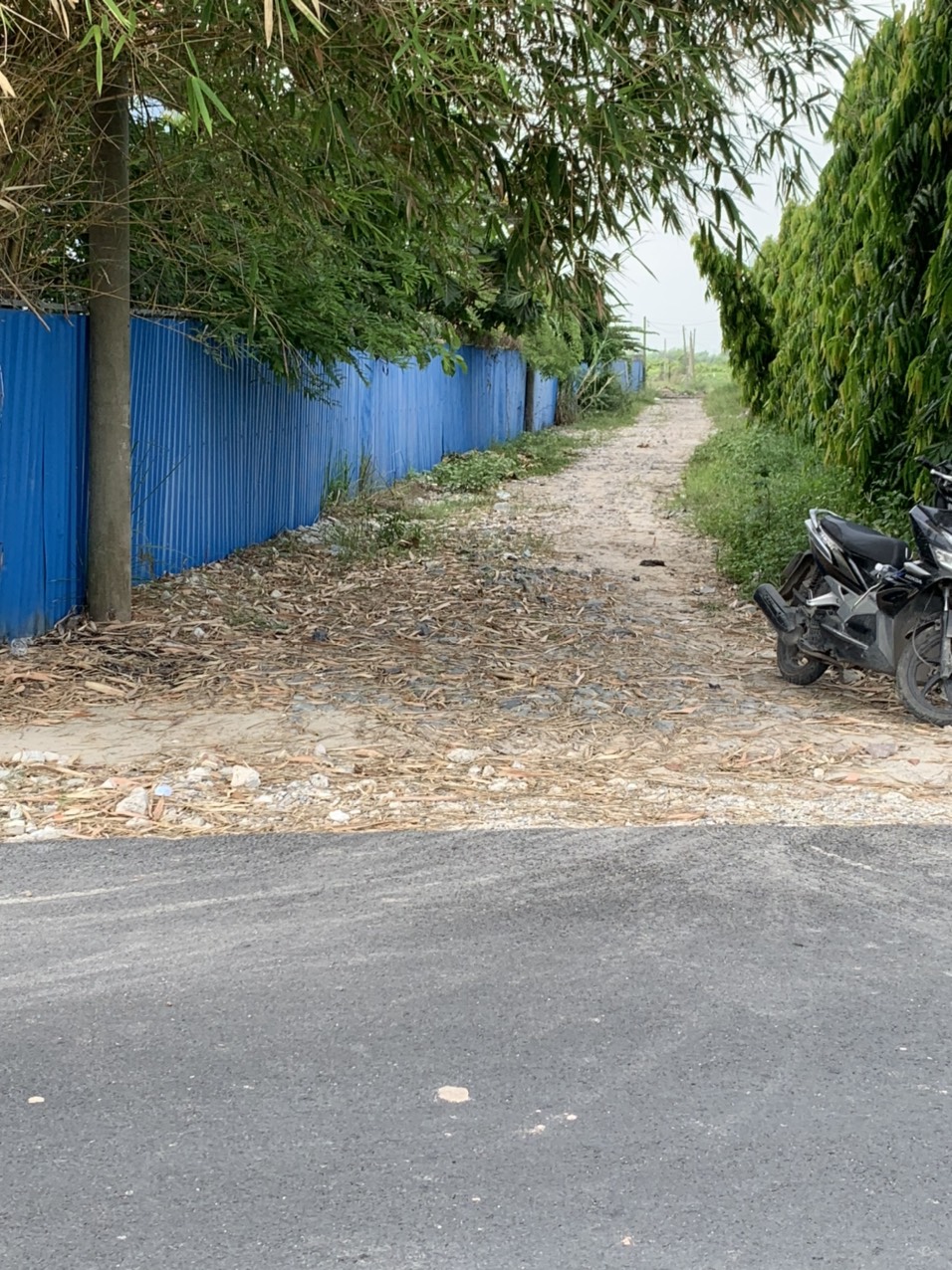 CHÍNH CHỦ BÁN LÔ ĐẤT DIỆN TÍCH 2993M2, CẠNH CTY MAY TÂN TIẾN – TÂN THẠNH ĐÔNG, CỦ CHI, HCM. 11561184